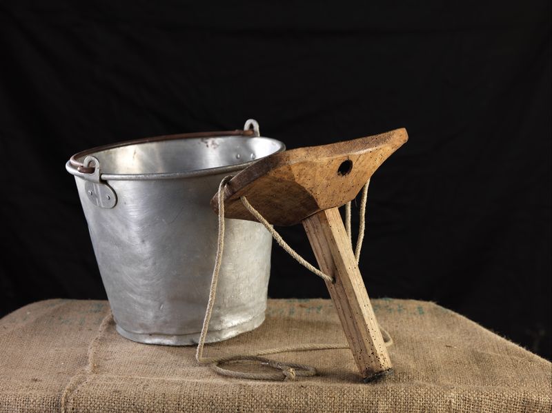 Secchio e sgabello per mungitura