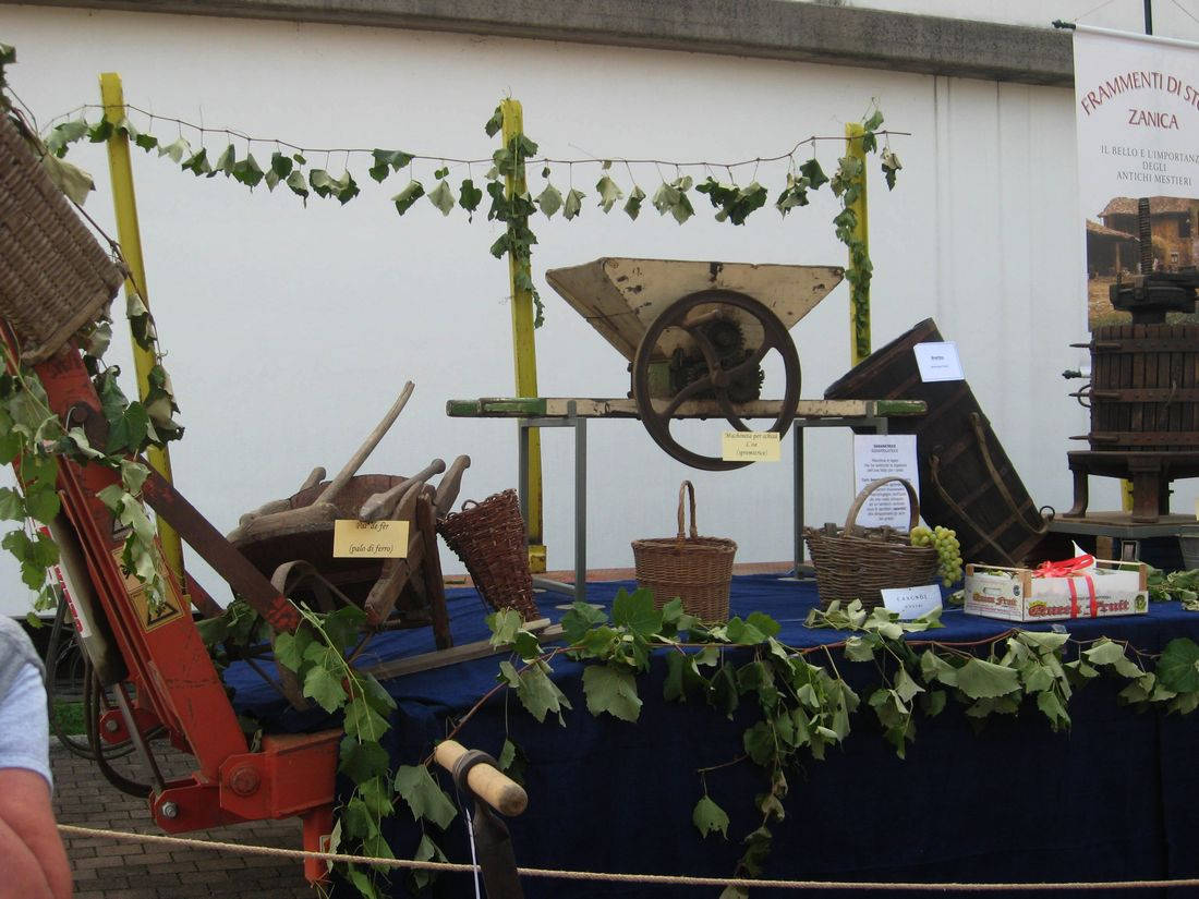 Attrezzi per la vendemmia