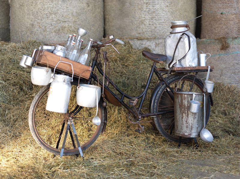 Bici del lattaio