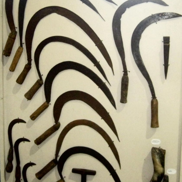 Falcetti vari