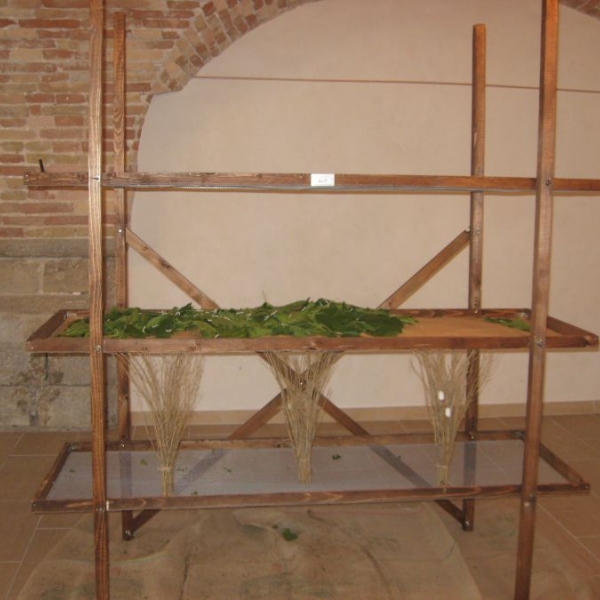 Taola de caaler